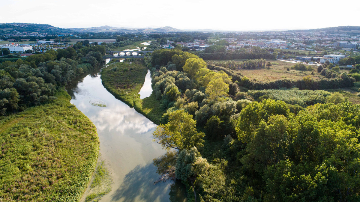 Foce del Chienti: là dove l’acqua si fonde