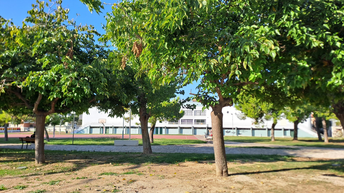 Area verde M. Coltorti