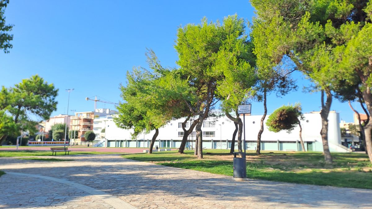 Area verde M. Coltorti