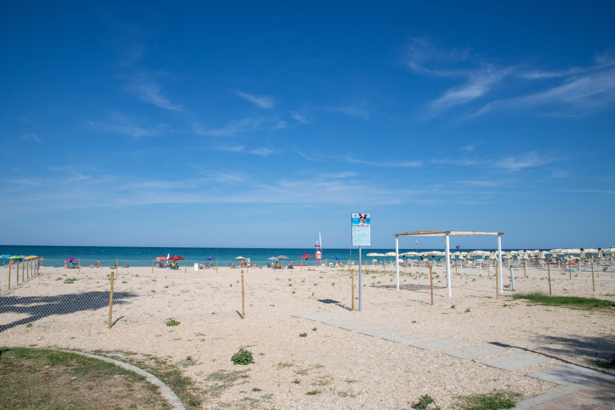 Spiaggia Pet Friendly - Area cani spiaggia sud