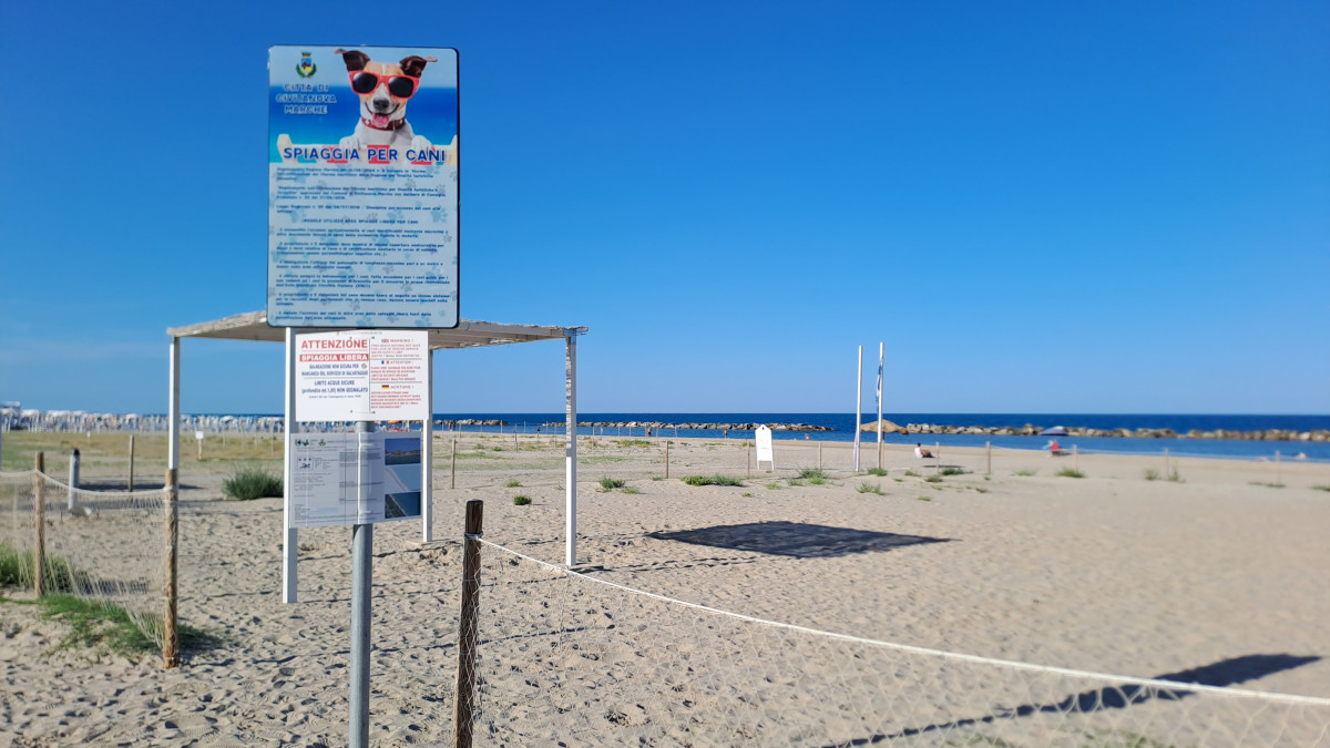 Spiaggia Pet Friendly - Area cani spiaggia nord