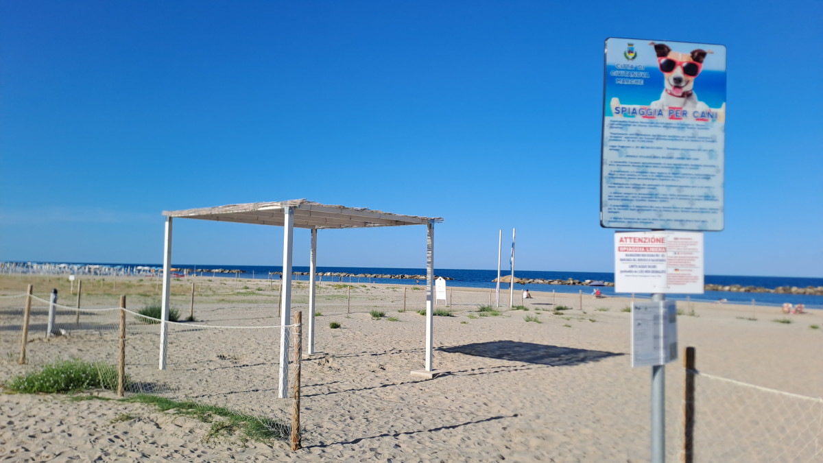 Spiaggia Pet Friendly - Area cani spiaggia nord