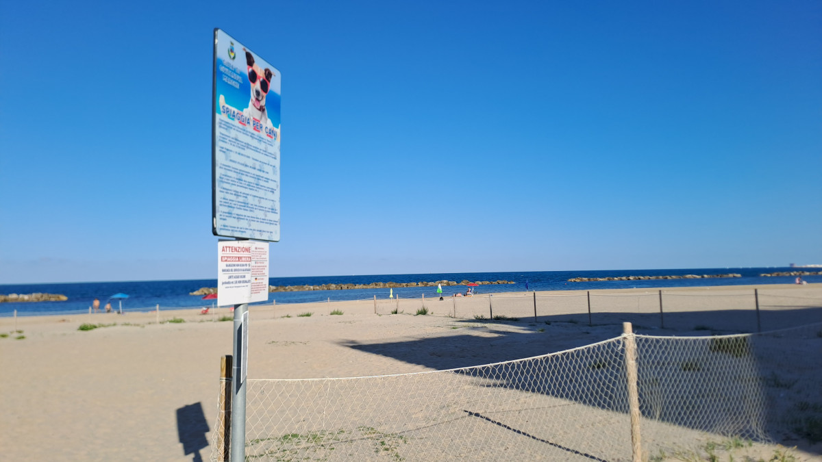 Spiaggia Pet Friendly - Area cani spiaggia nord