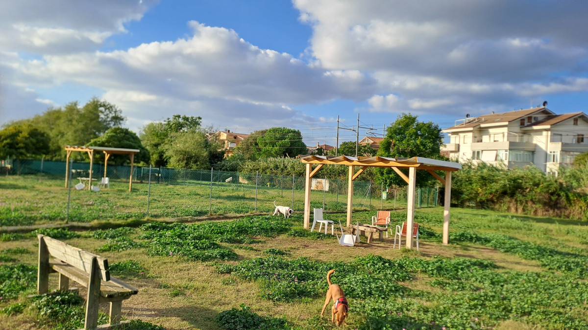 Dog Park Comunale Via Mandela