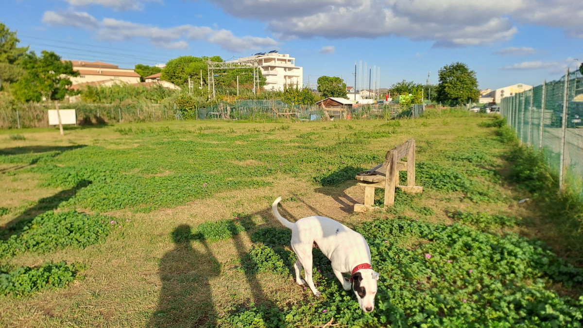 Dog Park Comunale Via Mandela